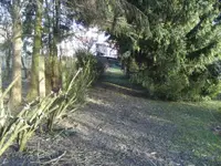 BILD6253.webp