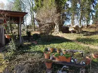 20170227_141029.webp