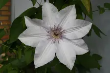 1152_6636343033373239.webp
