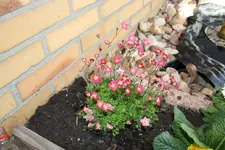 1152_6231613062363362.webp