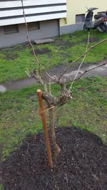 20170303_084349.webp