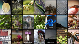 Februar 2017 - Copy (3).webp