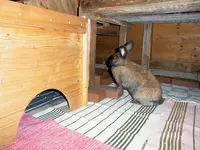 009.webp