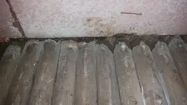 20170303_235721.webp 20170303_235721.webp