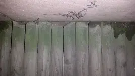 20170303_235746.webp 20170303_235746.webp