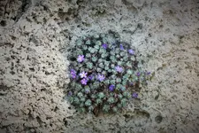 DSCF8597 (2).webp