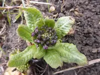 P1280165.webp