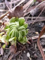 P1280166.webp