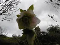 P1000230.webp