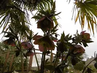 P1000233.webp