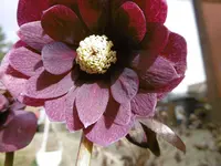 P1000250.webp