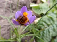 P1280350.webp