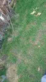 17105983_1269886426434356_571265865_o.webp