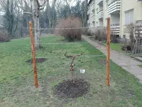 IMG_20170304_163502.webp