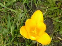 P1040539.webp