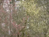 P1040580.webp