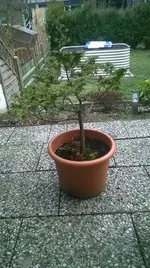WP_20170304_009.jpg