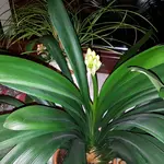 20170304_191344.webp