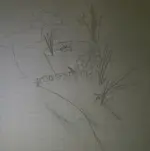 WP_20170304_018.webp WP_20170304_018.webp