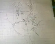 WP_20170304_017.webp WP_20170304_017.webp