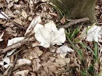 DSC08863.webp