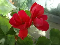 B056.webp