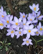 heute gemischt 011.webp