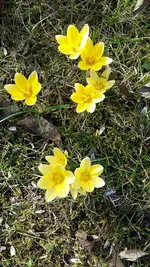heute gemischt 010.webp