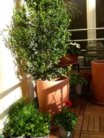 P1010220.JPG