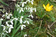 P1030924 Schneegl Hof.jpg