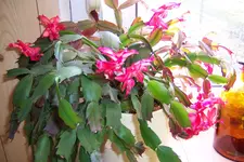 100_3578.JPG