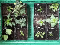 20170304_160751.webp