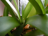 P1000253.webp