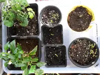 20170304_160827.webp