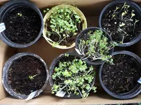 20170304_160819.webp