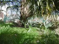 P1000261.webp