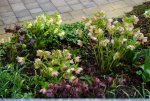 DSC05132.JPG