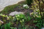 DSC05133.JPG