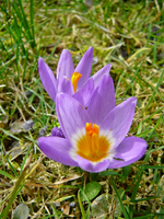 P1130222.JPG