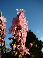 P1130231.webp