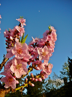 P1130235.webp