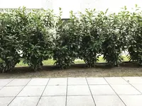 IMG_8390.jpg