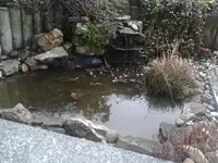 Teich.webp