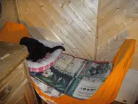 IMGP4643.webp