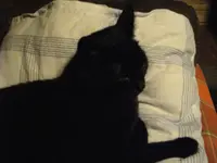 IMGP4638.webp