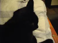 IMGP4639.webp