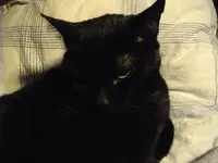 IMGP4640.webp