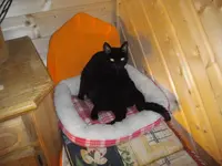 IMGP4641.webp