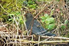 DSCF8622 (2).webp