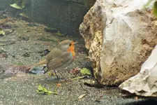 DSCF8628 (2).webp